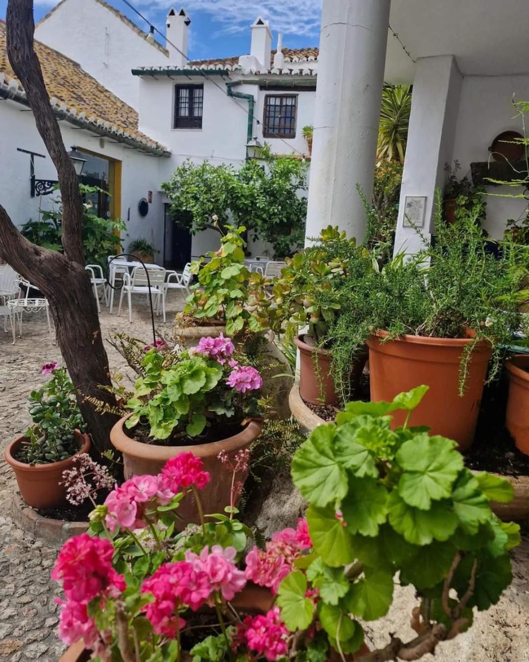 Hotel Rural Verde Oliva Comares Exterior foto